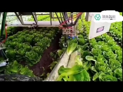 Systèmes de bras résistants de robot de Kuka pour des robots de DELTA de Kr en manipulant le bras de l'emballage 7 DOF