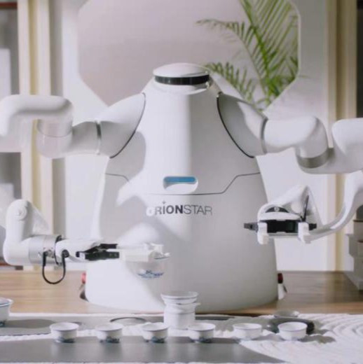 Le robot de machine de café de robot versent au-dessus du thé de bras du humanoïde deux de fabricant de café faisant le robot 200kg